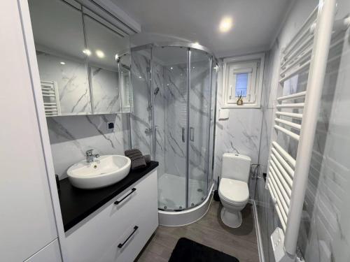 a bathroom with a shower and a sink and a toilet at TRB - Tiny Rooms Bodensee 1 in Gaißau