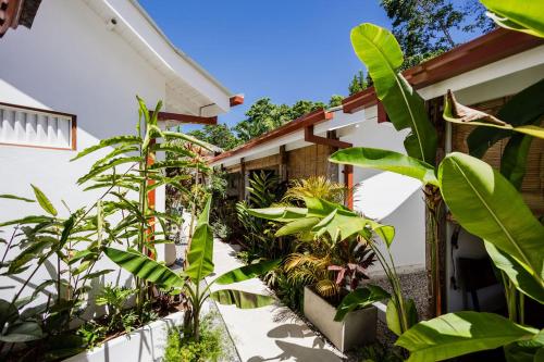 a garden in front of a house with plants at Bali Style Boutique Hotel in Las Terrenas