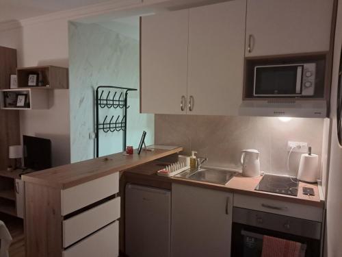 ベオグラードにあるTaMiLux apartmentsのシンクと電子レンジ付きの小さなキッチン