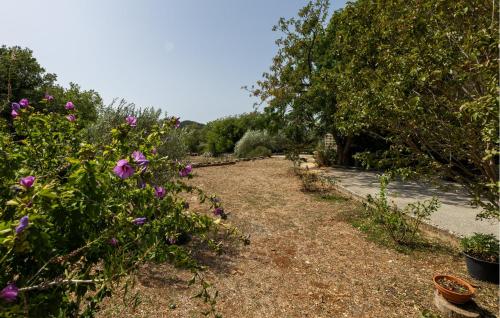 Κήπος έξω από το 3 Bedroom Beautiful Apartment In Zaton Doli