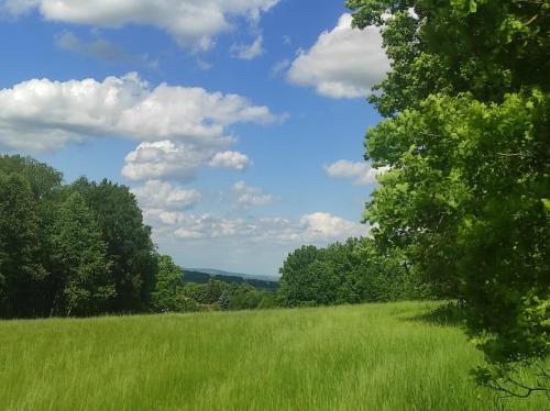 a green field with trees and a blue sky with clouds at Apartmán pod Sříbrnou horou in Lhenice