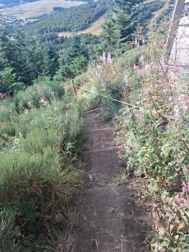 a dirt trail with grass and flowers on a mountain at Chalet Emma appartement tout équipé et refait a neuf dans une résidence 3 étoiles in Besse-et-Saint-Anastaise