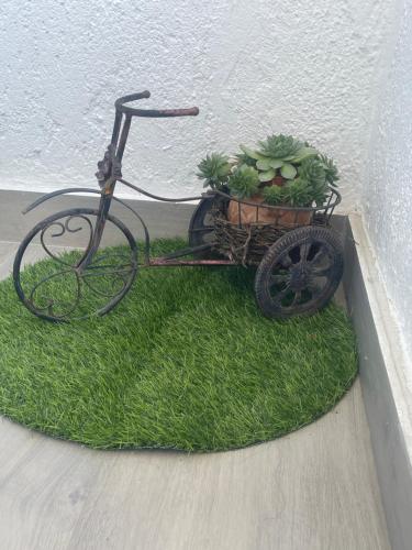 a bike with a planter on a patch of grass at Apartman Delux Gogica in Loznica