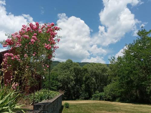 a tree with pink flowers on a stone wall at Centrul 3H in Sub Piatra