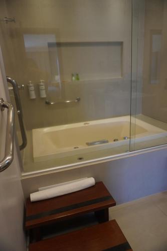Radisson Hotel Anápolisにあるバスルーム