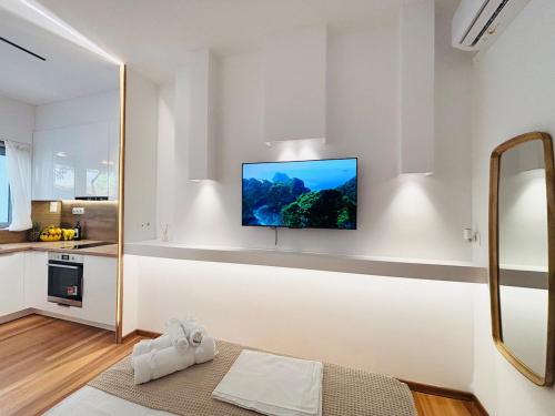 Cozy apartment, at Pagrati close to Kalimarmaro, Athens city center