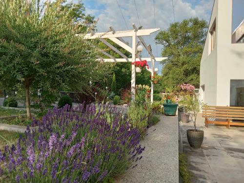 a garden with purple flowers and a wooden pergola at Centrul 3H in Sub Piatra