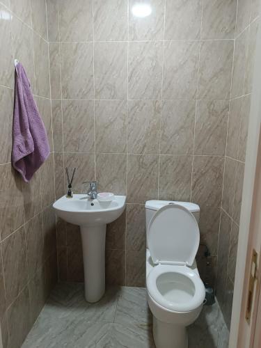 a bathroom with a toilet and a sink at Backpackers Base in Ganja