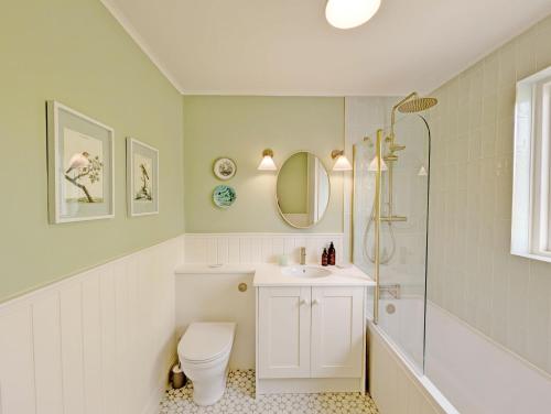 a bathroom with a toilet and a sink and a shower at Brambletye Cottage - Westbourne in Westbourne