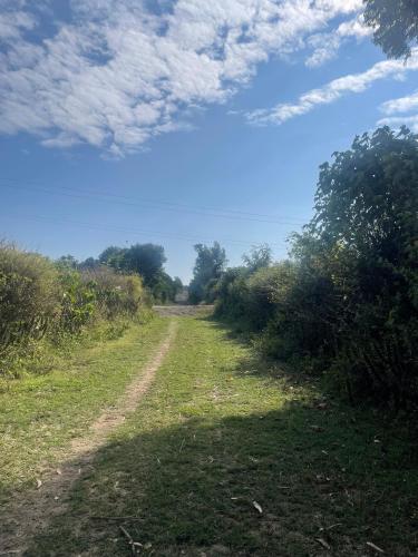 a dirt road in the middle of a field at Idan Barn Suites and Café in Nyeri