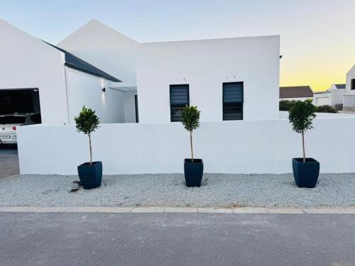 two potted plants in front of a white building at 44 Staycation Beach-house in Britannia Bay