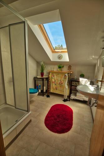 a bathroom with a shower and a sink and a red rug at Zimmer Landgut Rosenau in Mamming