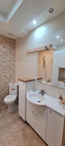 Un baño con un lavabo blanco y un inodoro. en Apartament w Centrum, en Płock