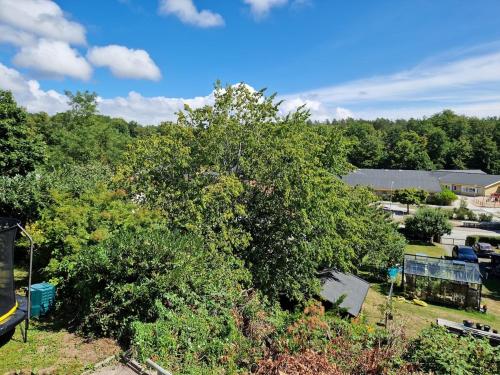 an overhead view of a park with a tree at M & M home in Karlshamn