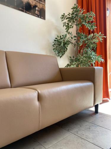a brown leather couch sitting next to a plant at Casa Ametza in Brasschaat