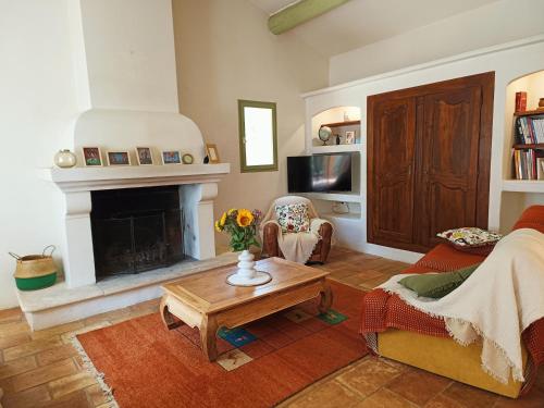 a living room with a couch and a fireplace at Au coeur des ocres in Roussillon