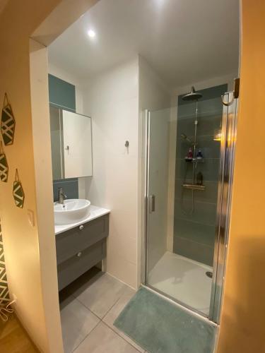 a bathroom with a shower and a sink at Chez M&S - Maison 3 chambres et 3 salles de bain in Bressolles