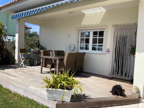 Vườn quanh Casa Magnolia B&B