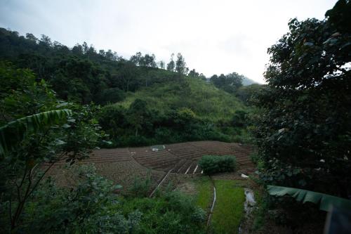 a large amphitheater in the middle of a forest at Ayubo Ella - Bed & Breakfast in Ella
