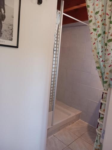 a shower in a bathroom with a shower curtain at Maisonnette avec jardin - Séjour détente in Sabran