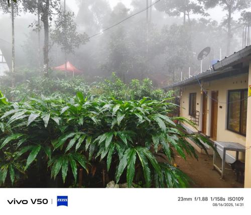 a house in the rain with trees in front of it at CLOUD HUG'S COUPLES STAY Rooms Vagamon in Vagamon