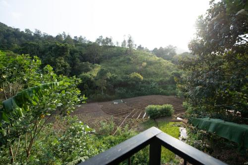a view of a garden from a balcony at Ayubo Ella - Bed & Breakfast in Ella