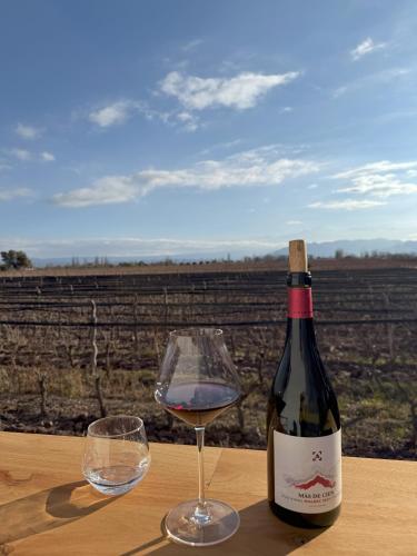 a bottle of wine and a glass on a table at Boutique Hotel Bodega CICLO ANDINO in Perdriel