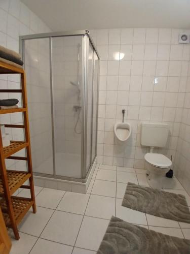 a bathroom with a shower and a toilet at Ferien- und Pferdehof Egelkraut "Feriendomizil am Meer" in Wangerland