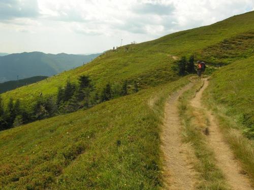 a person walking down a dirt road on a grassy hill at Alpine Getaway in Tuscany in Cutigliano