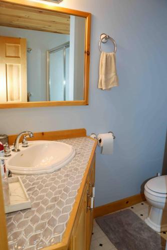 a bathroom with a sink and a mirror and a toilet at Lake Christopher Cabin in Bryant Pond