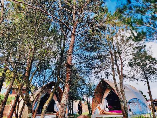 Taman di luar Bamboo Glamping Tà Xùa