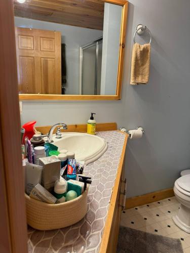 a bathroom with a sink and a mirror at Lake Christopher Cabin in Bryant Pond
