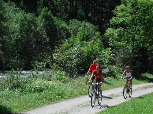 a group of people riding bikes down a dirt road at Appartementhaus Sporthotel Mölltal in Flattach
