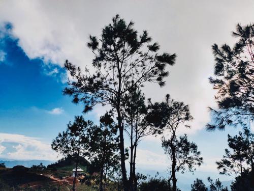 Landskap semula jadi dekat dengan perkhemahan mewah