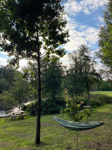 a hammock tied to a tree in a park at Pievu namelis in Venta