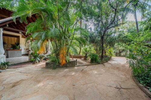 a courtyard with palm trees in front of a house at woodland sanctuary in Habarana