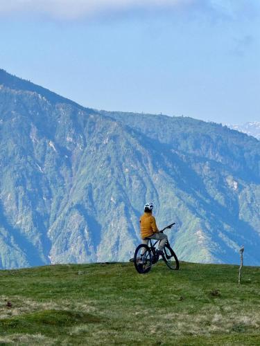 a person riding a bike on a grassy hill at Flora Handüzü Resort & Wellness Bungalow Hotel in Rize