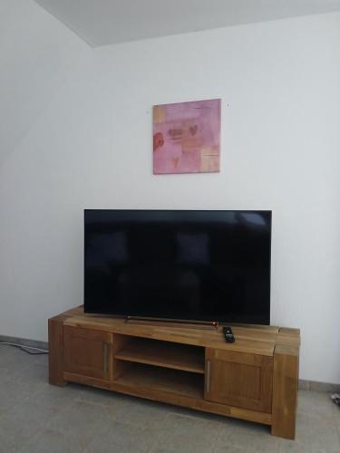 a flat screen tv sitting on top of a wooden entertainment center at Ferien- und Pferdehof Egelkraut "Feriendomizil am Meer" in Wangerland