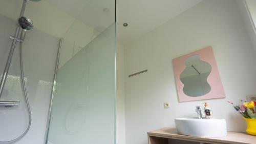 a bathroom with a shower stall and a sink at Nethehuis in Kasterlee