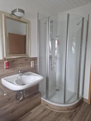 a bathroom with a shower and a sink at Ferienwohnung - in Hildebrandts Landhotel in Klettbach