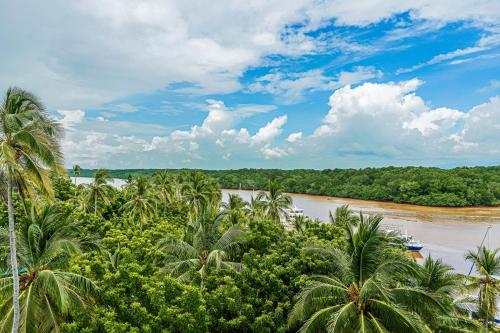 a view of a river with palm trees at Puerto Azul A1 52 in El Roble
