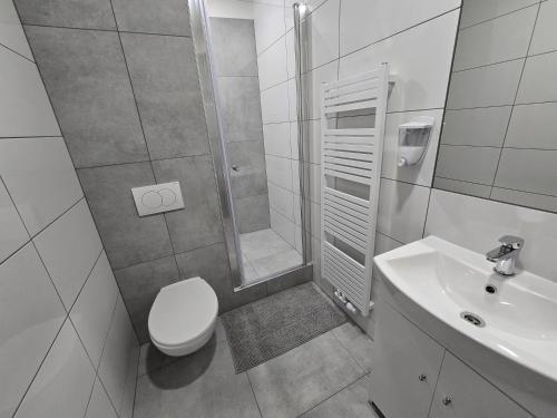 a bathroom with a shower and a toilet and a sink at Spirit apartments Brno, with parking in Brno