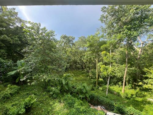 a view of a forest with trees and a river at Pura Vida 2 Bed 2 Bath Montezuma in Montezuma