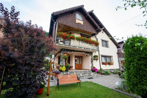 a house with a bench in front of it at Pensiunea Alina in Vama Buzăului