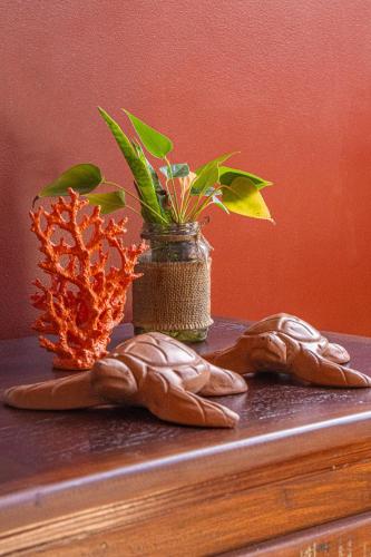 Fotografie z fotogalerie ubytování Pousada Terra Coral v destinaci Arraial d'Ajuda