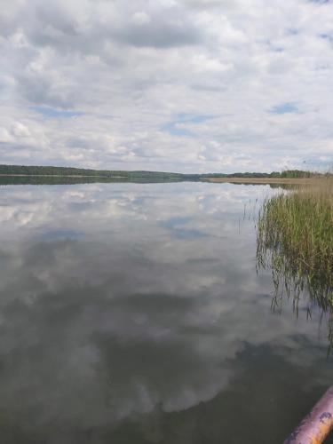 Příroda nedaleko vily