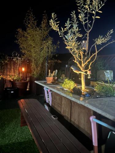 a wooden bench in a garden at night at La Belle Vue in Ganges