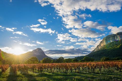 a field of crops with the sun in the background at La Belle Vue in Ganges