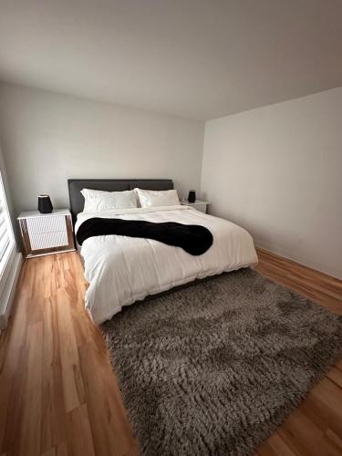 ein Schlafzimmer mit einem großen Bett und einem Teppich in der Unterkunft Appartement BBNK in Mirabel