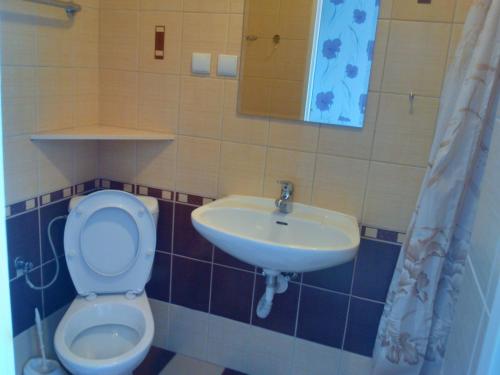 a bathroom with a toilet and a sink at Bieszczadzki Zakątek 787-899-185 in Bukowiec